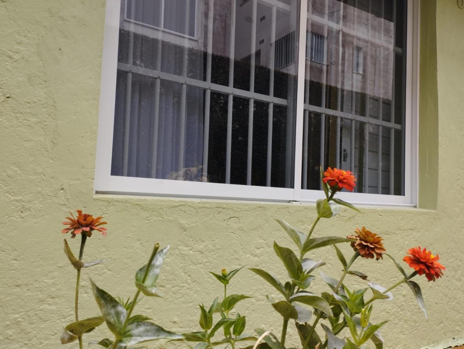 Charmoso Apto Com Clima De Casa Em Canasvieiras Florianopolis Luaran gambar